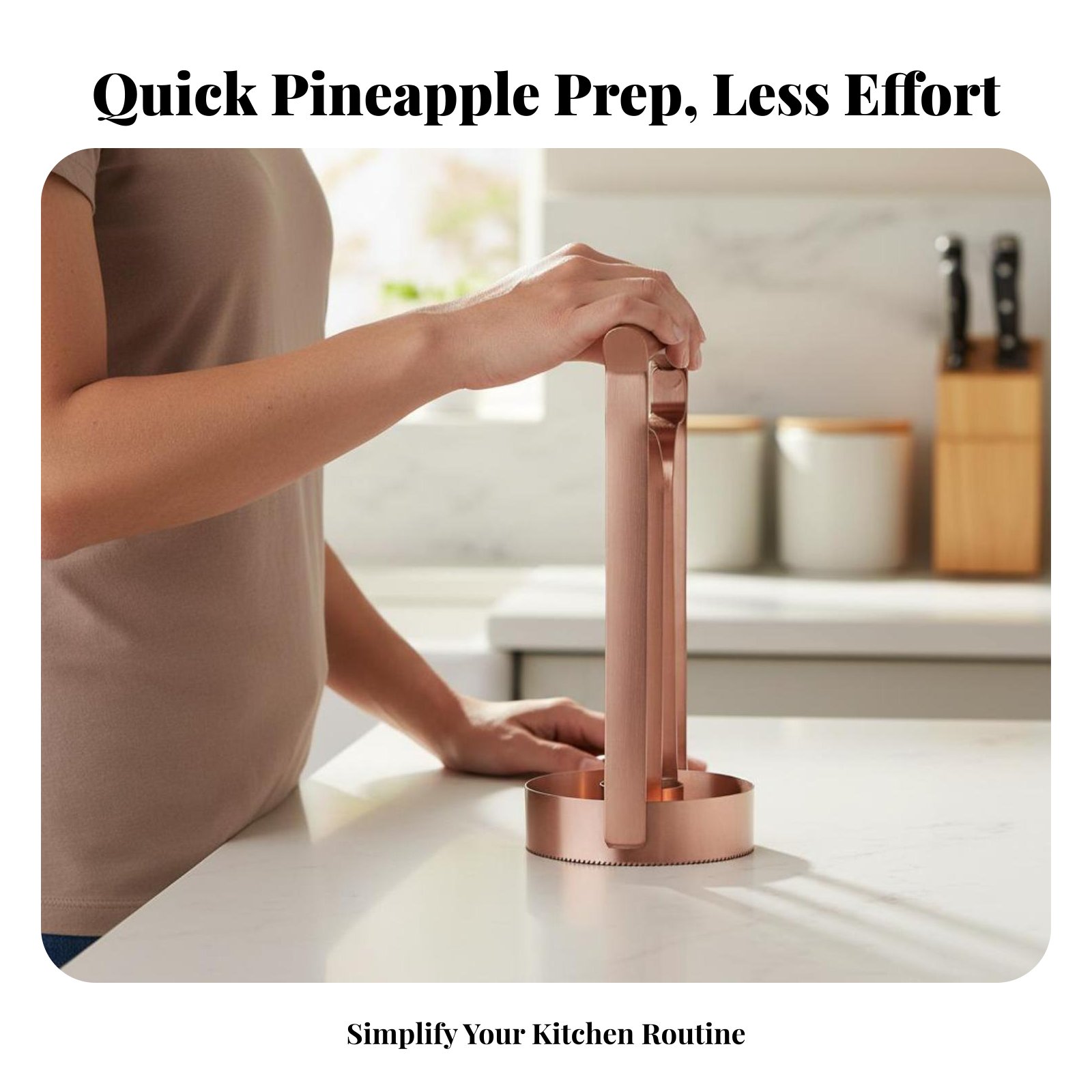 Stainless Steel Pineapple Cutt - Kitchen Gadgets Vegetable Cutter ulasan dan harga